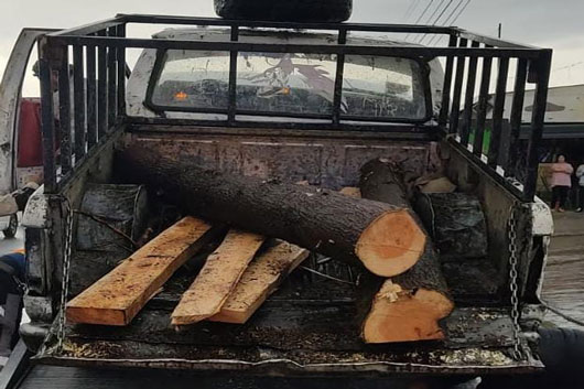 La SSC asegura material forestal en la malinche