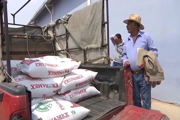 Avanza programa “Fertilizantes para el Bienestar 2022”