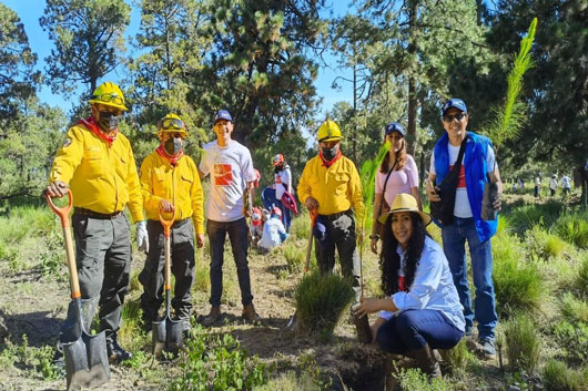 Gobierno de Tlaxcala y Coca-Cola Femsa reforestan más de 23 hectáreas en Huamantla