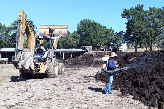 Fomenta SEFOA la transición de agricultura tradicional a orgánica