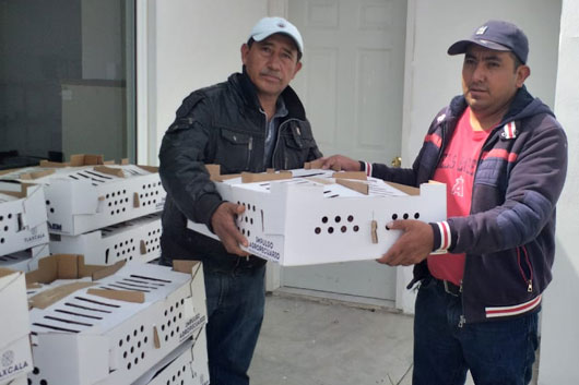 Entrega SIA los primeros 660 paquetes de especies menores en 11 municipios