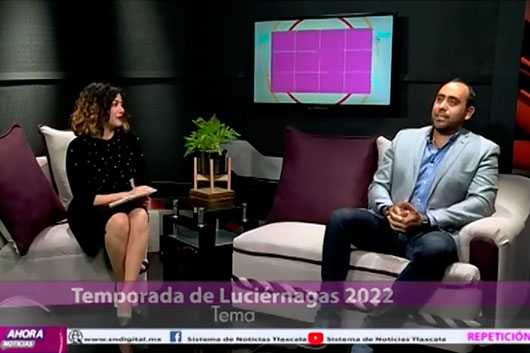 Temporada de luciérnagas 2022