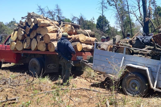 Asegura SSC camioneta y remolque con material forestal en San Luis Teolocholco