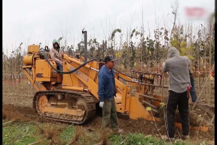 Fortalece Programa de Trabajadores Agrícolas relación entre México, Estados Unidos y Cánada