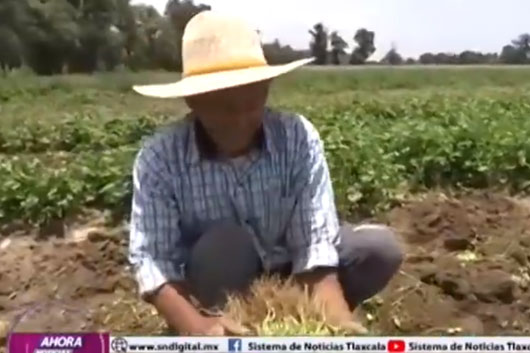 Recursos destinados para el campo tlaxcalteca han sido históricos: Gobernadora Lorena Cuéllar