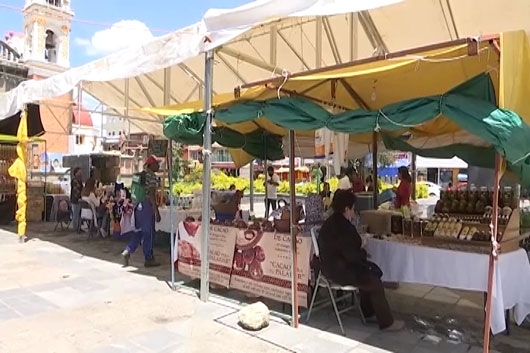 En el parque Hidalgo de Santa Ana Chiautempan, artesanos y productores locales le esperan hasta el 4 de septiembre