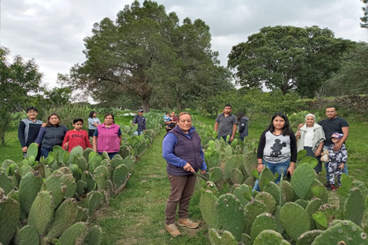 Presenta SIA tres convocatorias en el marco del día del nopal y la tuna