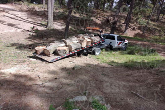 Asegura SSC material forestal en Huamantla