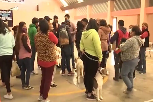 Brinda CBA servicios veterinarios gratuitos a peluditos de la entidad