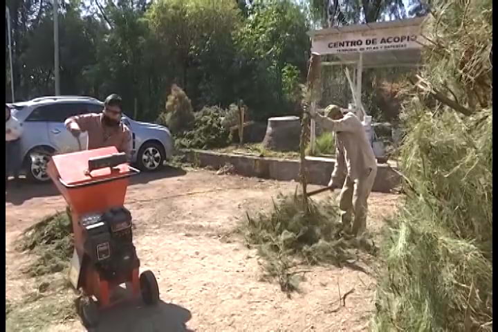 ¿No sabes qué hacer con tu árbol natural navideño?