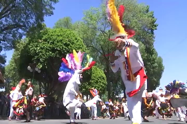 Realizarán los conversatorios “Diálogos de Carnaval” en la Pinacoteca