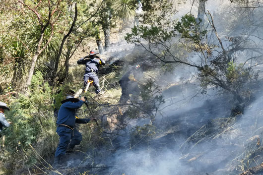 Incendio forestal en Tlaxco, controlado en un 85 por ciento: SMA