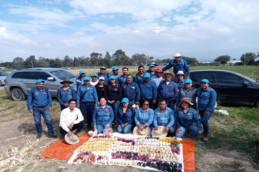 Logró SIA aumento de producción de maíz con plan de manejo de agricultura orgánica en 2022