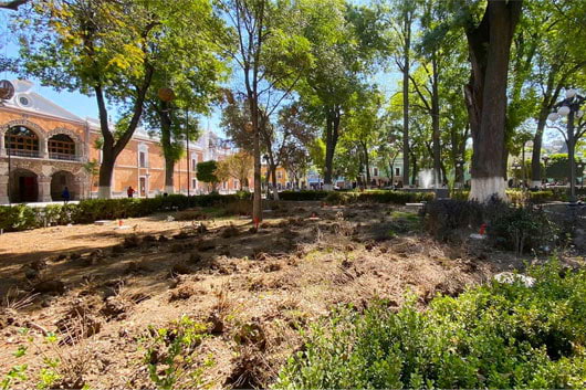 Inicia rehabilitación de áreas verdes de la Plaza de la Constitución