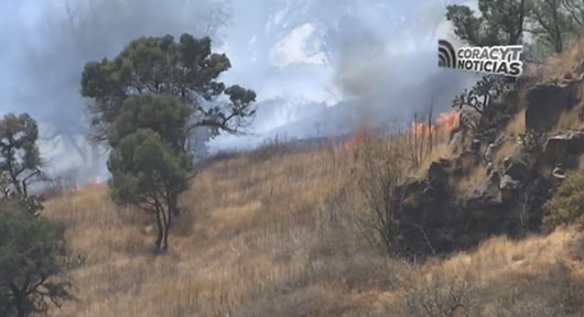 Durante 2024 se han registrado 100 incendios forestales en Tlaxcala