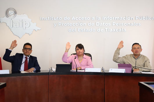 Aprueba pleno del IAIP Tlaxcala acuerdos y dictámenes del programa anual de verificación 2024 de la fase dos