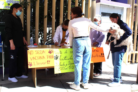 Inicia sector salud campaña de vacunación antirrábica canina y felina