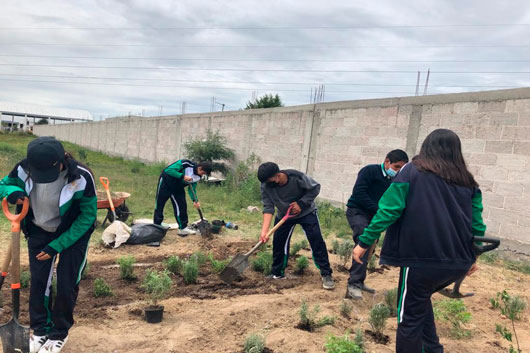 Convoca la SMA al proyecto “Polinizando Vida 2024” para promover la adaptación al cambio climático en el estado.