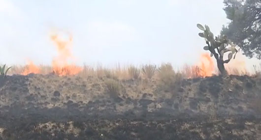 Trabaja SMA en conjunto con la federación para prevenir incendios forestales