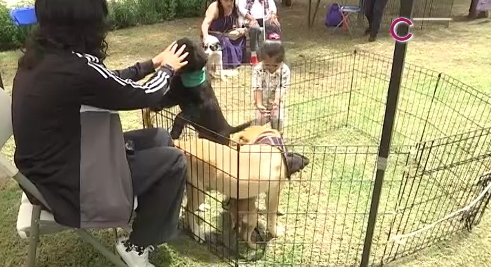 Celebró CBA “Día Mundial del Perro”