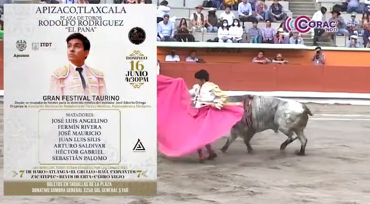 Realizarán Gran Festival Taurino en Apizaco