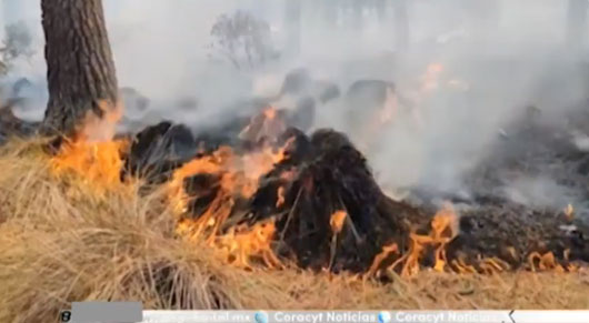 Se registran diversos incendios forestales durante el fin de semana