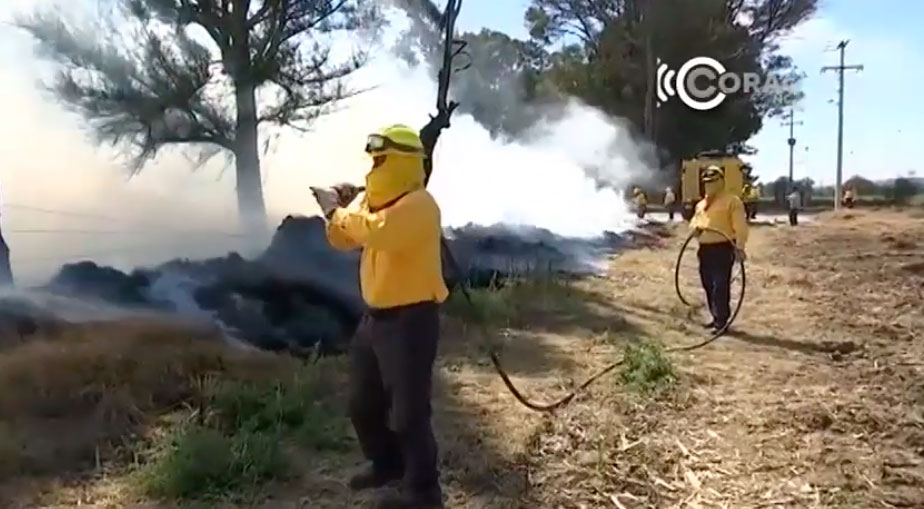 Durante 2024 se han reportado 140 incendios forestales en la entidad