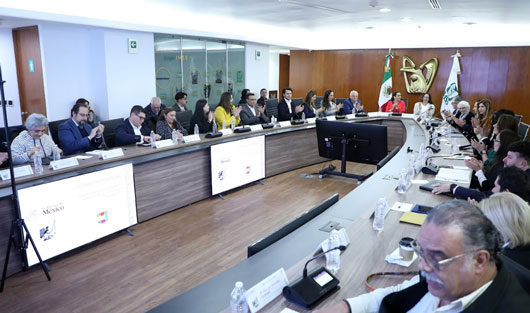 Realiza IMSS Primera Sesión Ordinaria 2024 del Comité para el Programa Institucional sobre los Derechos de las Personas con Discapacidad