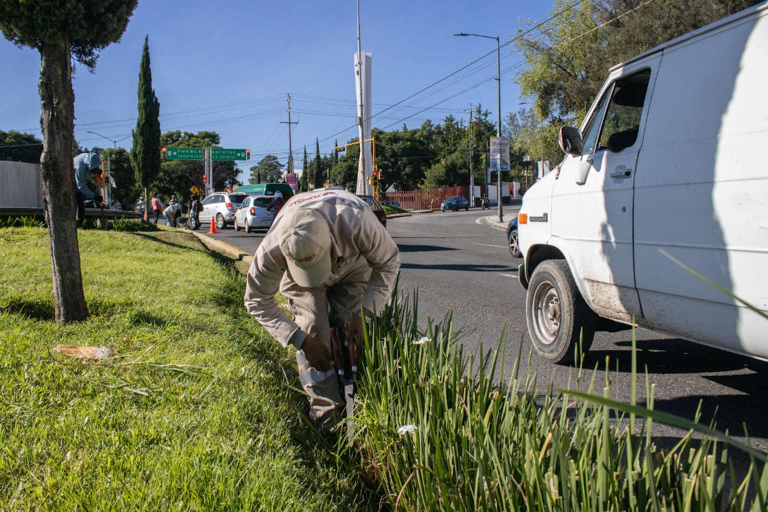 Realiza el Ayuntamiento de Tlaxcala labores de limpieza y poda en principales avenidas de la capital