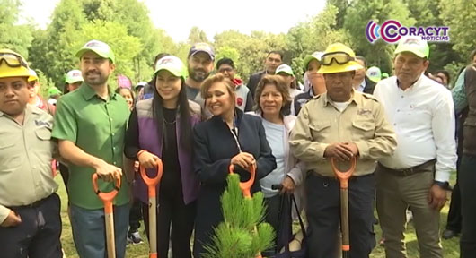 Encabezó gobernadora Lorena Cuéllar jornada de reforestación