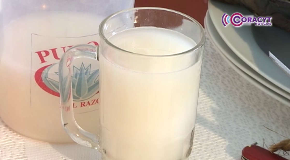 Tlachiqueros de Tetla reportan caída del 20% en producción de pulque por lluvias