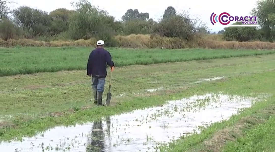 Apoyará gobierno estatal a productores agrícolas afectados por lluvias