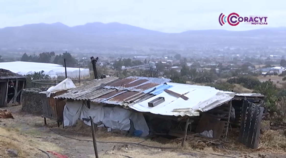 Disminuyó 11.7 % pobreza en Tlaxcala entre 2022 y 2024: Inegi