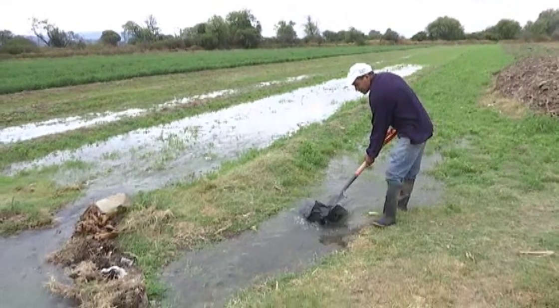 Lluvias golpean cultivos de maíz en Contla