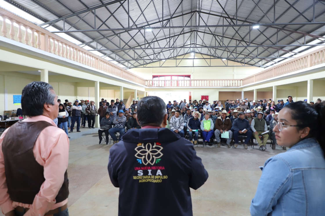 Inicia la entrega de semilla de avena a ejidos afectados por lluvias y granizo
