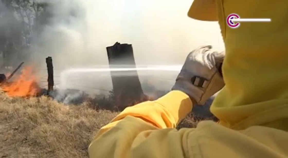 Durante 2025, la brigada “Correcaminos” de la Conafor sofocó 50 incendios