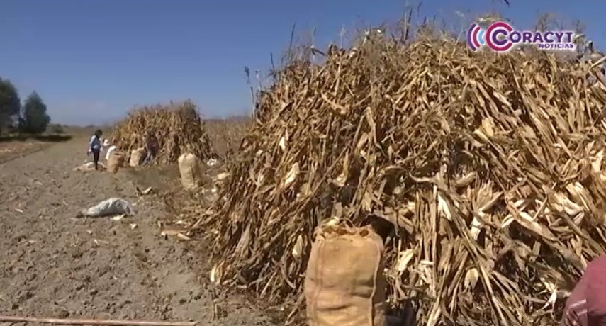 Reconocieron productores agrícolas mayor inversión al campo