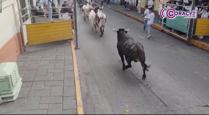 Tradición y emoción se vivió en el encierro estilo Pamplona de Huamantla