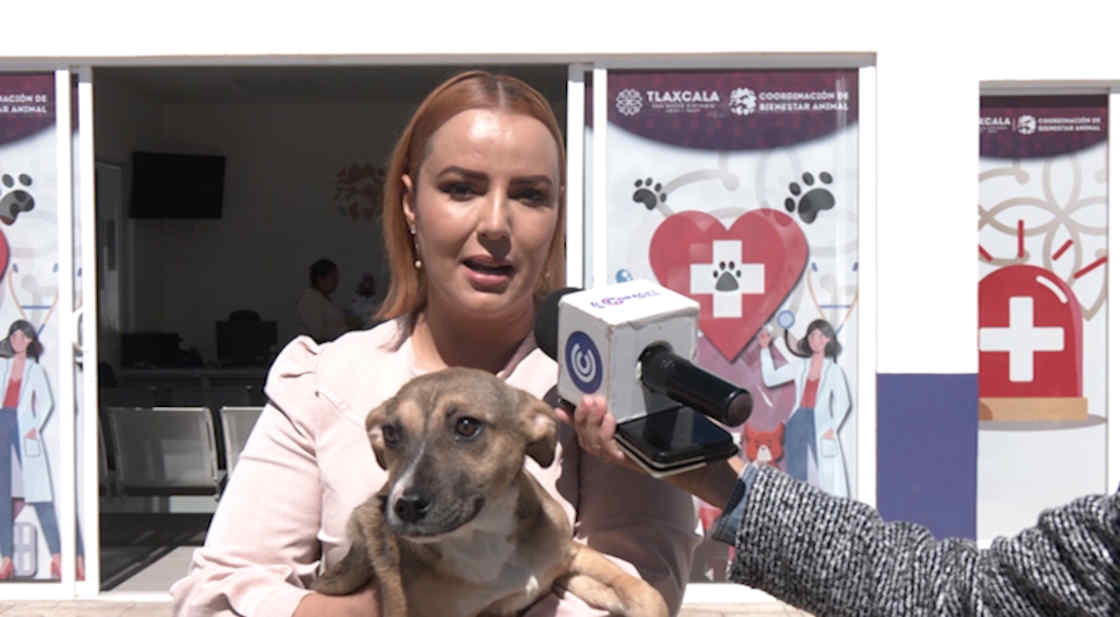Brinda CBA una gran variedad de servicios para animales de compañía