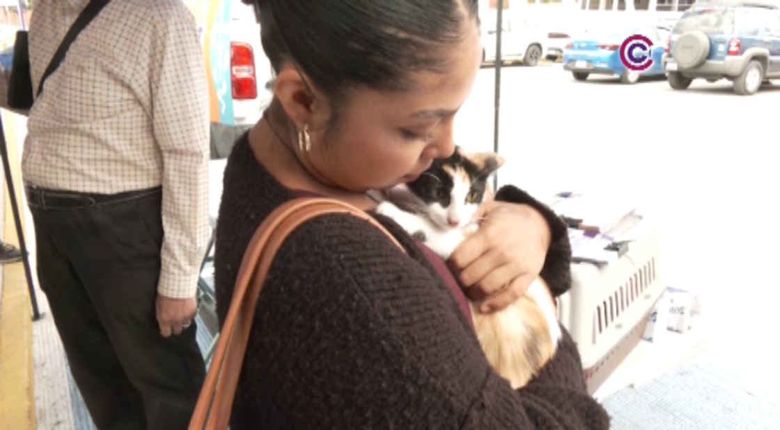 Perros y gatos encontraron un nuevo hogar a través de la campaña “Adogtame”