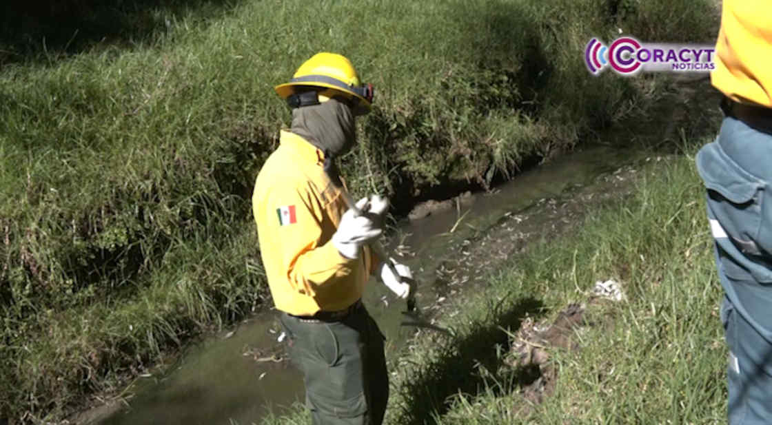 Avanza CEAS en limpieza del río Zahuapan, exhorta a reforzar la vigilancia