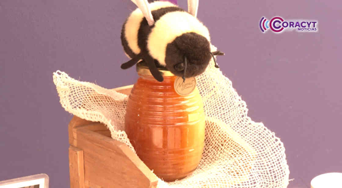 Productores amplían su mercado en “Tlaxcala, la Feria de Ferias 2025”