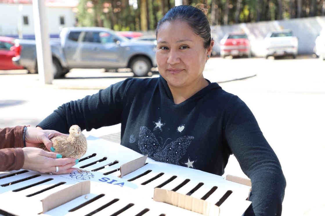 Gobierno del Estado entrega 458 paquetes agropecurios para fortalecer economía familiar en 17 municipios