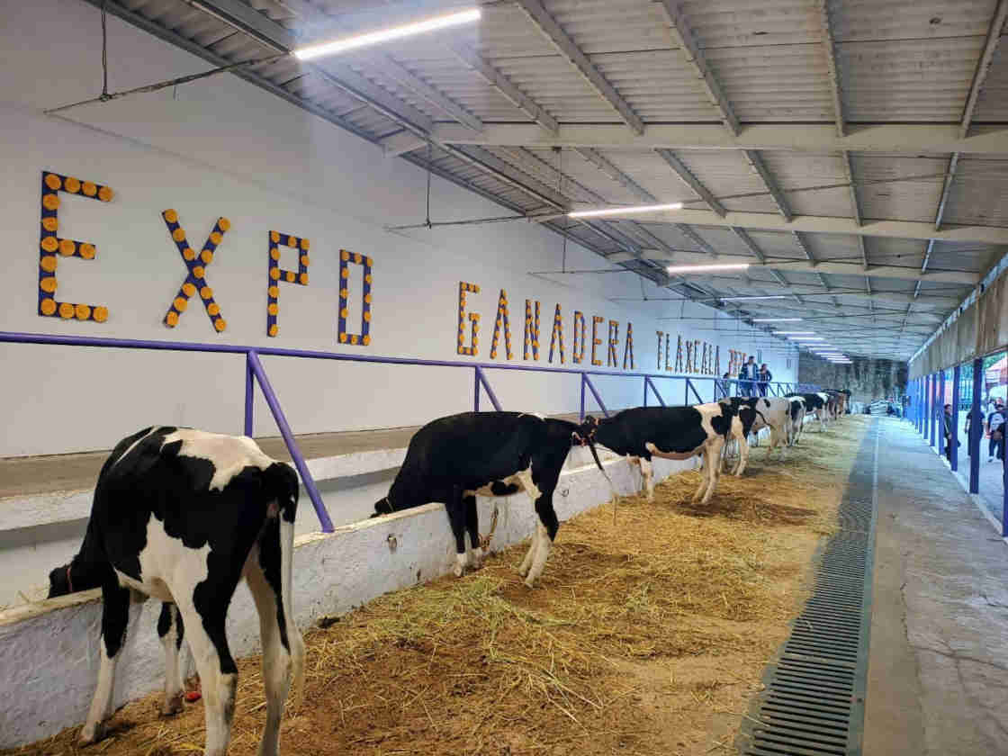 Garantiza SIA trato digno y responsable a ejemplares durante “Tlaxcala, la Feria de Ferias 2025”