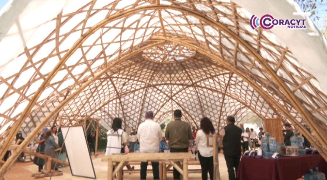 Avanza Tlaxcala en materia ambiental con una política climática participativa