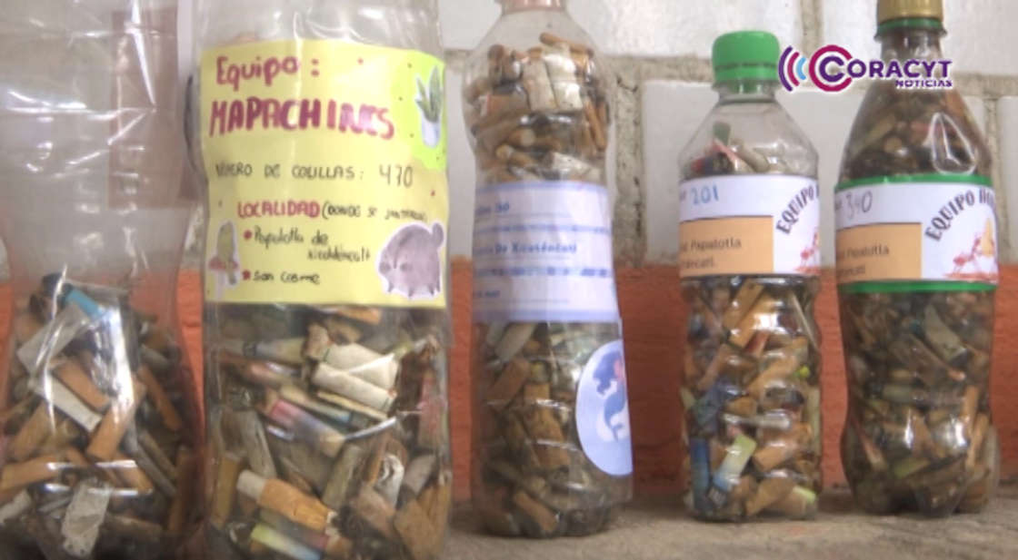 Estudiantes del Cobat Plantel 13 Papalotla recolectaron más de 15 mil colillas