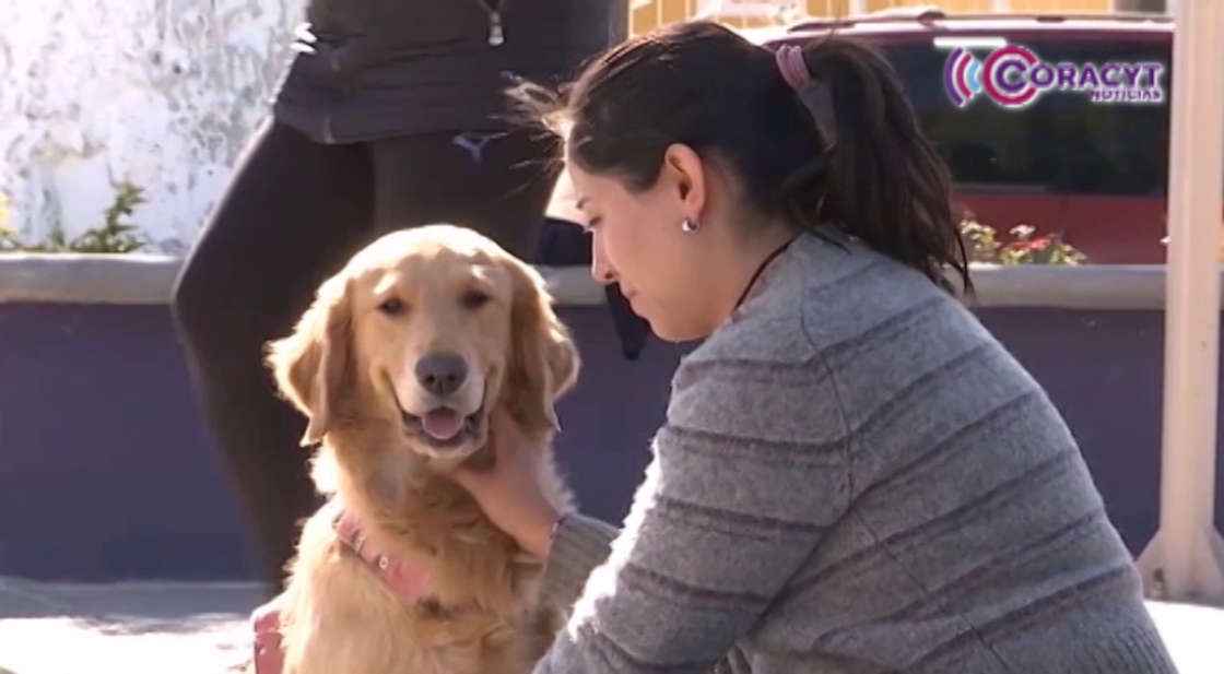 Fortalecen UATx y Observatorio Ciudadano la protección y bienestar animal