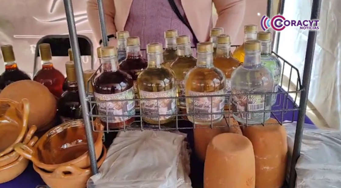 Habrá mercado nocturno “Del Campo a tu Mesa” en Amaxac