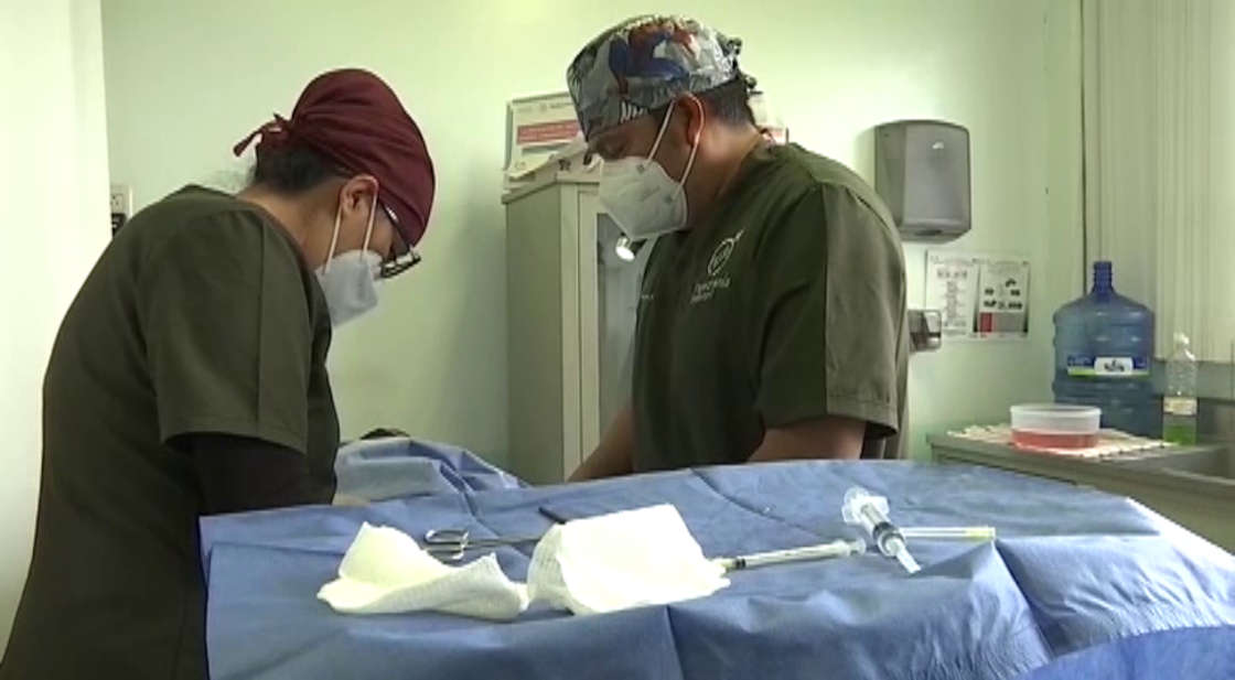 Habrá Jornadas de Vasectomía sin Bisturí en Calpulalpan, Apizaco, Tlaxcala y Huamantla