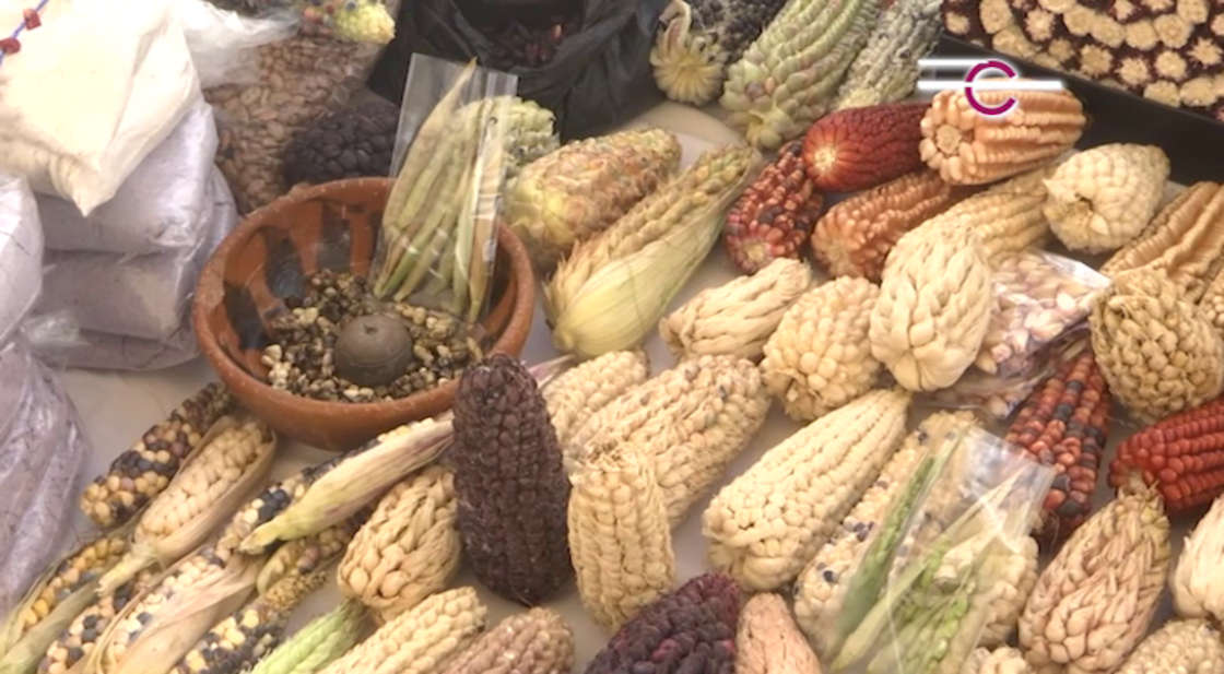 Conmemoró UIT el “Día Nacional del Maíz” 